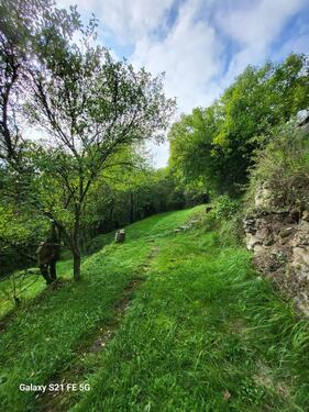 Foto - Grundstück zur Miete in Rottenburg am Neckar