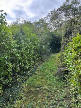 Foto - Grundstück in Rottenburg am Neckar