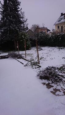 Foto - Einfamilienhaus zum Kaufen in Mühlheim am Main