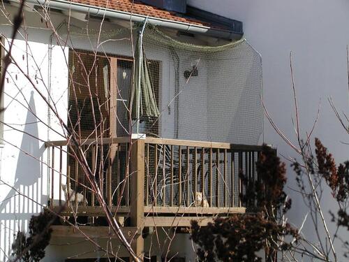 Foto - andere in Regensburg zur Miete