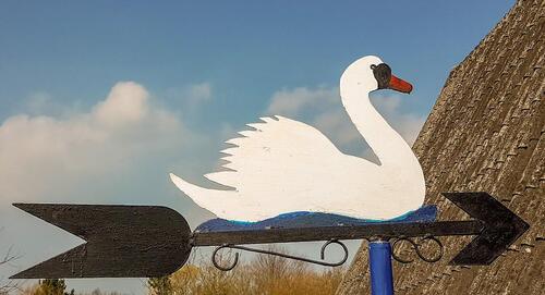 Foto - Ferienhaus an der Ostsee, Damp - 700,00 EUR Kaltmiete,