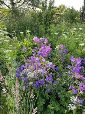 Foto - Kleingarten abzugeben - 300,00&nbsp;EUR Kaltmiete, ca.&nbsp; 0,00&nbsp;m&sup2;