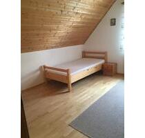 Schönes helles Einzimmerappartement - Kümmersbruck