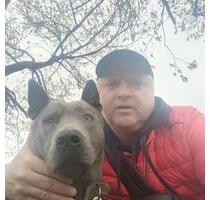 Ich möchte eine Zweizimmerwohnung mieten. - Herne Sodingen