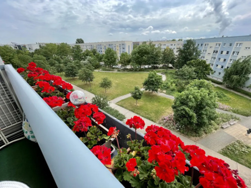 Foto - Dachgeschosswohnung in Südhalle zu vermieten