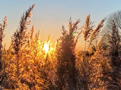 Foto - Ferienhaus Kappeln , Ostsee, Schlei