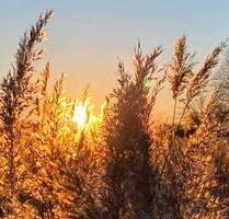 Ferienhaus Kappeln , Ostsee, Schlei