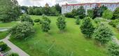 Foto - 3 Raum-Wohnung - 296,00 EUR Kaltmiete,