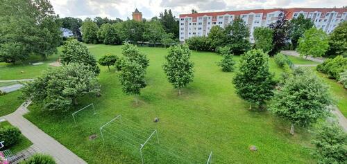 Foto - 3 Raum-Wohnung - 296,00 EUR Kaltmiete,