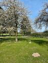 Foto - Wiese zu verpachten - 200,00&nbsp;EUR Kaltmiete, ca.&nbsp; 0,00&nbsp;m&sup2;