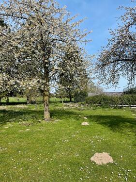 Foto - Wiese zu verpachten - 200,00&nbsp;EUR Kaltmiete, ca.&nbsp; 0,00&nbsp;m&sup2;