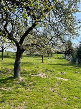 Foto - Grundst&uuml;ck zur Miete in Wesel