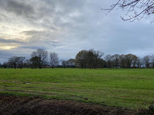 Foto - Wiesengrundstück. - 6,00&nbsp;EUR Kaltmiete, ca.&nbsp; 0,00&nbsp;m&sup2;