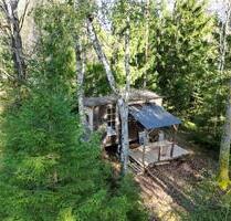 Tiny House Ferienhaus See Schweden im Wald Cabin - Sinsheim
