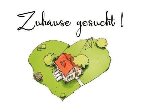 Foto - Einfamilienhaus - 123.456,00 EUR Kaufpreis,