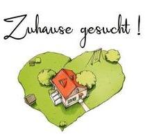 Einfamilienhaus - 123.456,00 EUR Kaufpreis, in Sarstedt (PLZ: 31157)
