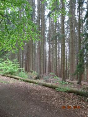 Foto - Grundst&uuml;ck zur Miete in Odenthal