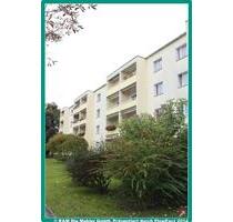 Wohnen am Großen Garten - die Natur vor der Tür! - Dresden Prohlis