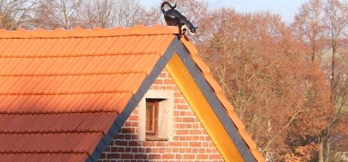 Foto - andere in Hofgeismar zur Miete