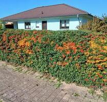 Einfamilienhaus (Bungalowstil) in Jägerhof zum Verkauf - Waren (Müritz)