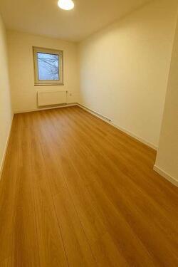Foto - andere in Bergisch Gladbach