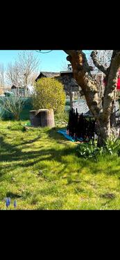 Foto - Grundst&uuml;ck in Schwedt (Oder) zur Miete