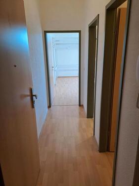 Foto - kleine aber helle Wohnung in der FleischervorstadtGreifswald