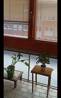 Foto - Etagenwohnung in Hannover zum Kaufen