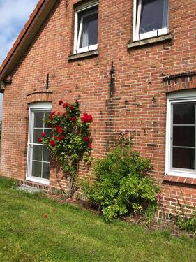 Foto - andere zur Miete in Wangerland