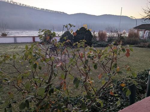 Foto - 4 Zimmer Etagenwohnung in Leutesdorf