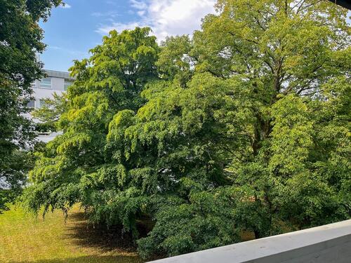 Foto - 2 Zimmer Etagenwohnung zur Miete in Ennepetal