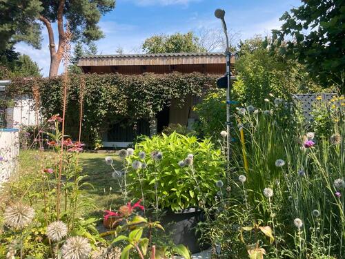 Foto - Schrebergarten abzugeben in WSW