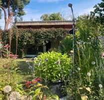 Schrebergarten abzugeben in WSW - Schleife