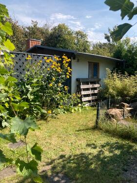 Foto - Grundst&uuml;ck zur Miete in Schleife