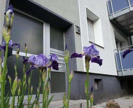 Foto - Dachgeschosswohnung 2,5 Zi. - 500,00&nbsp;EUR Kaltmiete, ca.&nbsp; 45,00&nbsp;m&sup2;