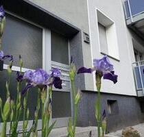 Dachgeschosswohnung 2,5 Zi. - 500,00&nbsp;EUR Kaltmiete, ca.&nbsp; 45,00&nbsp;m&sup2; in Gelsenkirchen (PLZ: 45888) Gelsenkirchen-Mitte