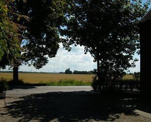 Haselau, 3 Zimmer WHG, 80m², Ab sofort frei, BEWERBUNGS STOPP - Haseldorf