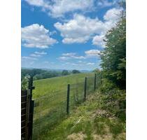 Moderne 2 Zimmerwohnung mit großzügiger Terrasse, Garten, Garage - Bad Oeynhausen Rehme