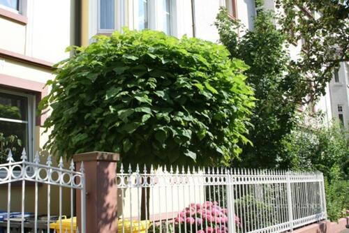 Foto - Entspannt Wohnen in Bestlage - 1.250,00 EUR Kaltmiete,