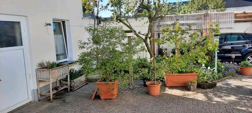 Foto - 5 Zimmer Einfamilienhaus in Calbe (Saale)