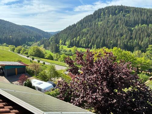 Foto - 2 Zimmer Dachgeschoßwohnung zur Miete in Baiersbronn
