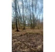 Grundstück zur Miete Pacht in 06869 Coswig ( Anhalt ) - Berlin Steglitz-Zehlendorf