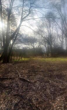 Foto - Grundst&uuml;ck zur Miete in Berlin