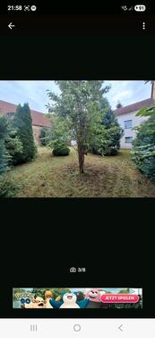 Foto - Bauernhaus, Landhaus in Löbau