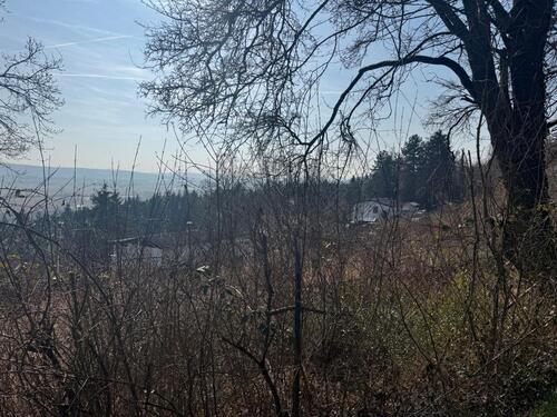 Foto - Grundst&uuml;ck in Ranstadt