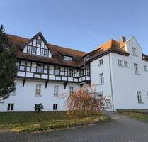 Idyllische Dachgeschosswohnung im Harz! - Ilsenburg (Harz)