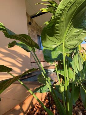 Foto - andere in Eggolsheim