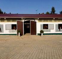 Kleine Reitanlage mit Wohnhaus - 850.000,00&nbsp;EUR Kaufpreis, ca.&nbsp; 130,00&nbsp;m&sup2; in Trochtelfingen (PLZ: 72818)