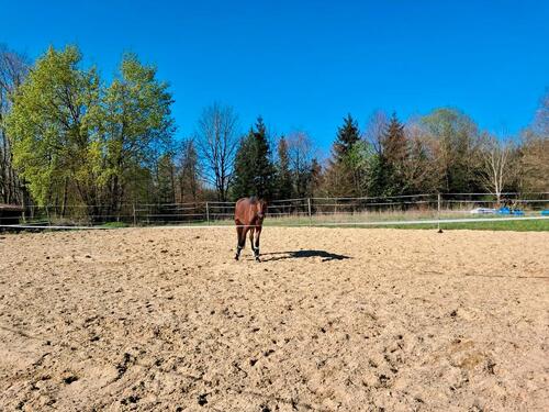 Foto - Einfamilienhaus in Trochtelfingen