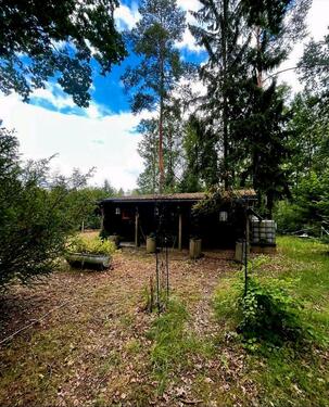 Foto - Waldgrundstück in guter Lage (Kleinwaltersdorf)